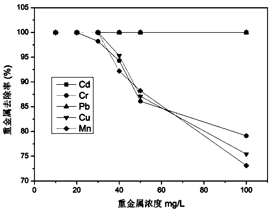Preparation method and application of biological carbon-based iron carrying composite material