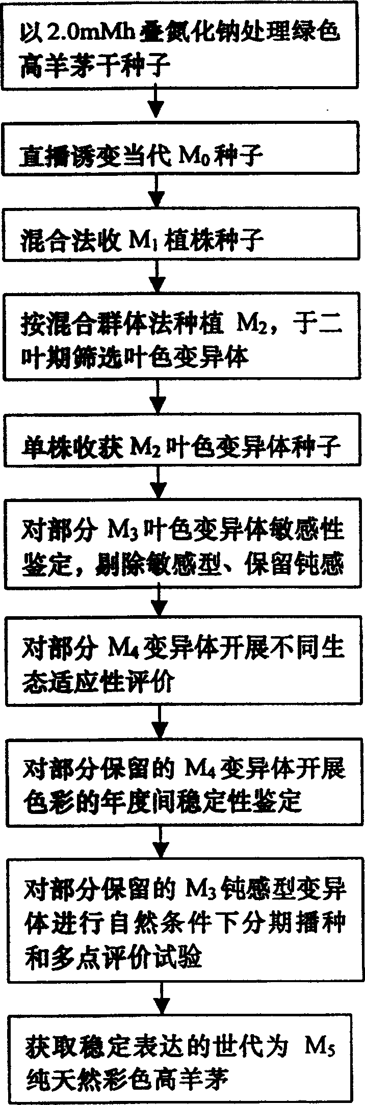 Method for culturing natural multi-colour lawn