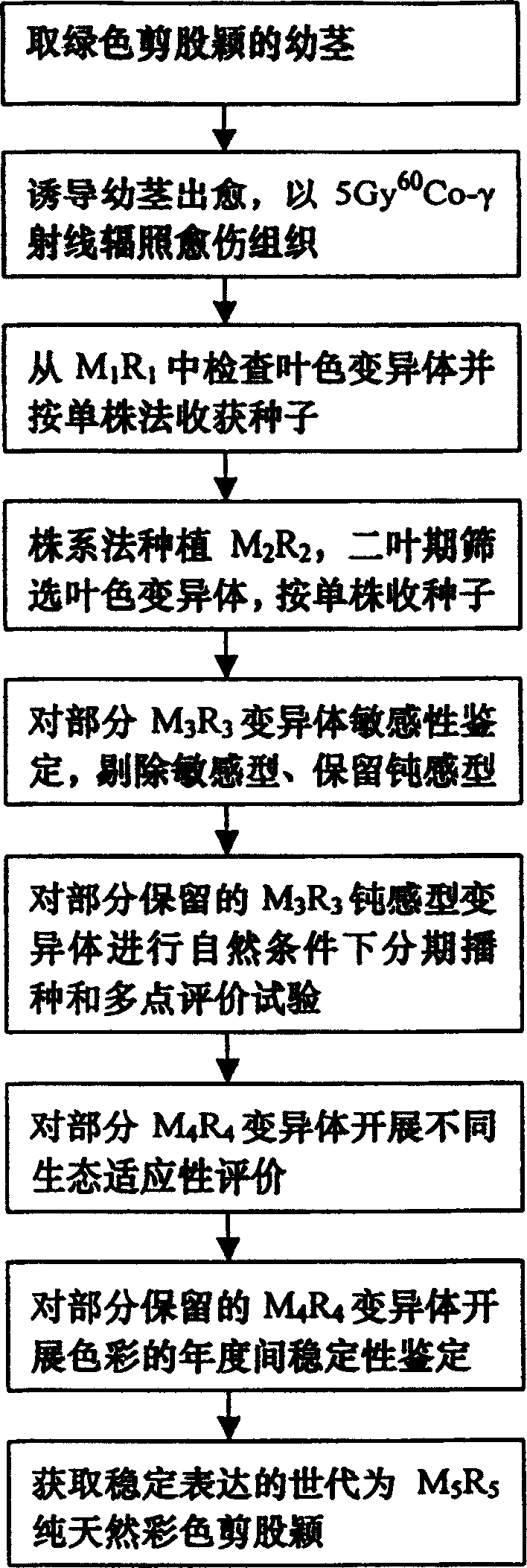 Method for culturing natural multi-colour lawn