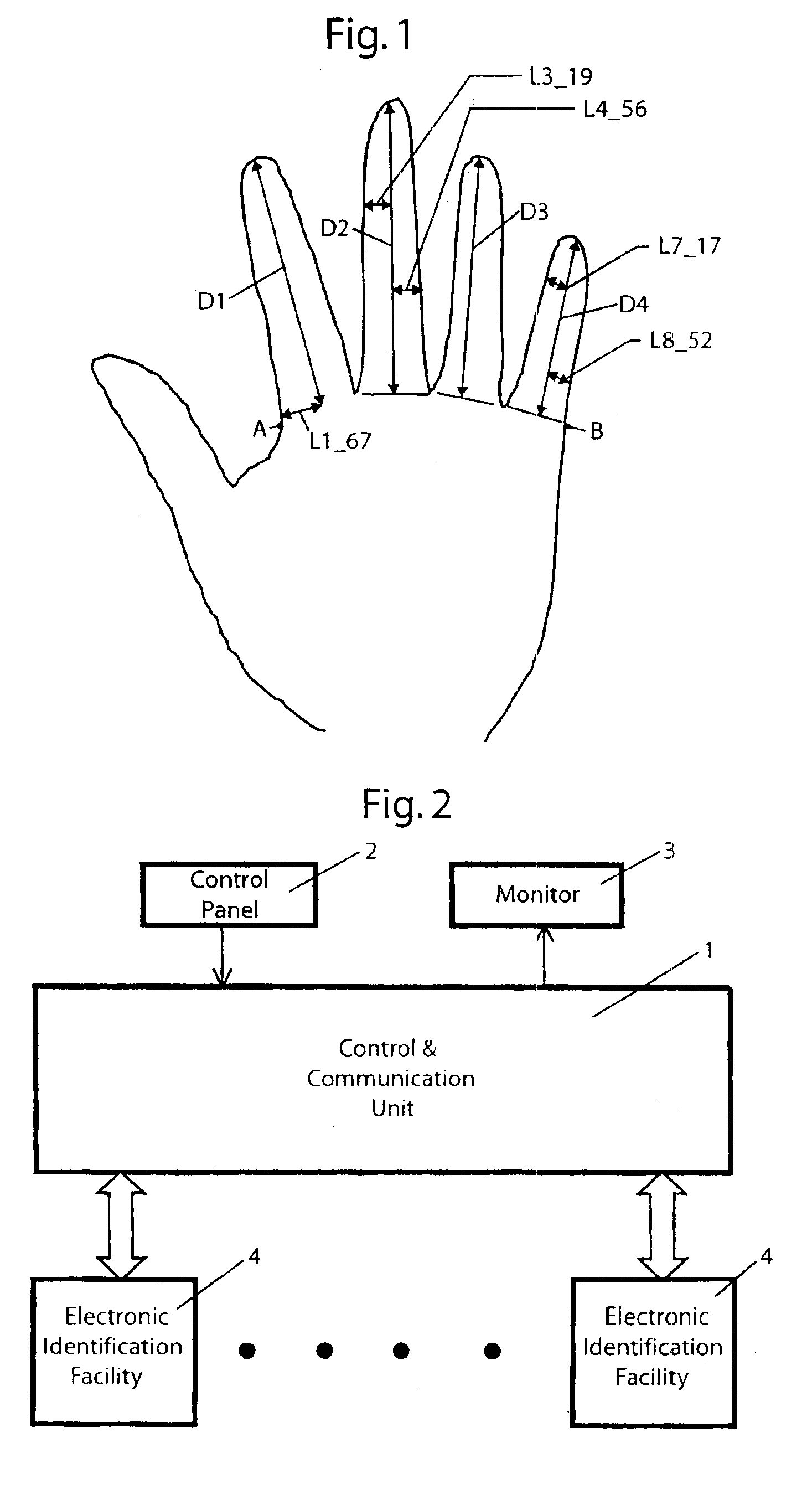 Personal identification method, electronic identification system and apparatus for personal biometrical identification by gauging geometry of the person's hand