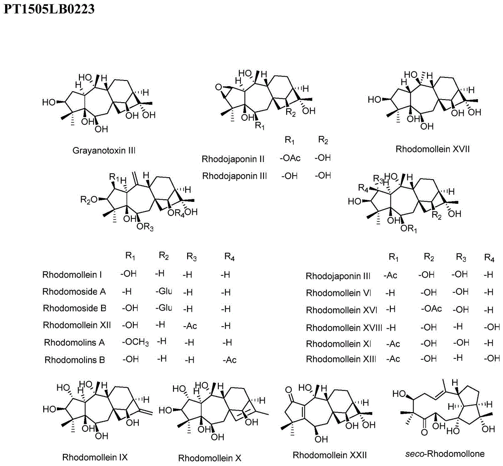 Anti-tumor drug of diterpenoid compound, and preparation method and application thereof