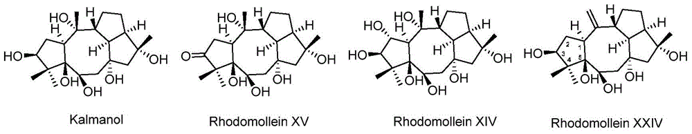 Anti-tumor drug of diterpenoid compound, and preparation method and application thereof