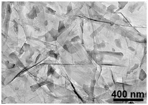 Three-dimensional porous black phosphorene/graphene for magnesium ion battery as well as preparation method and applicationgrapheme thereof