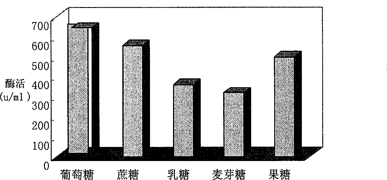 Microbial fermentation enzymolysis method for extracting grease and protein of soybean