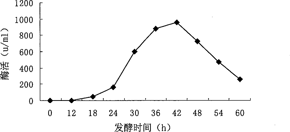 Microbial fermentation enzymolysis method for extracting grease and protein of soybean