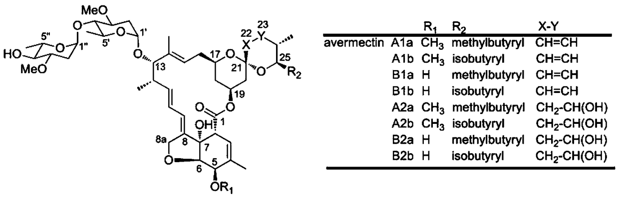 A kind of avermectin producing bacteria and its preparation method and application