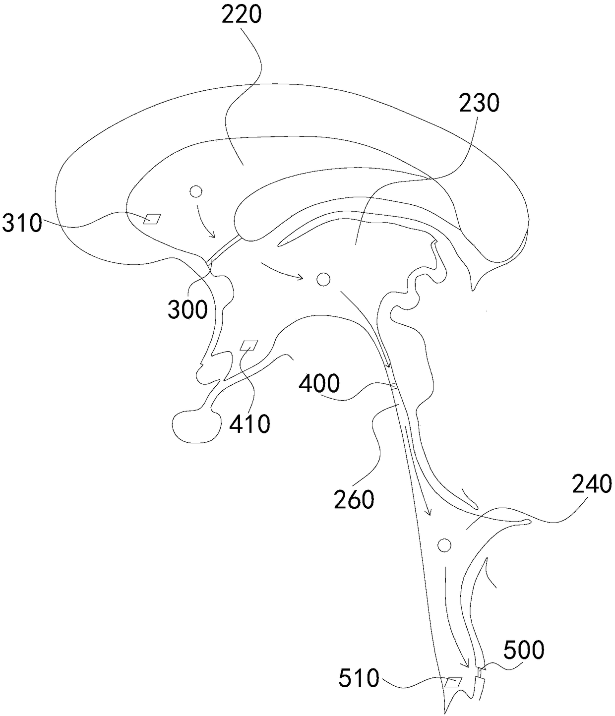 Cerebrospinal fluid flow demonstration device