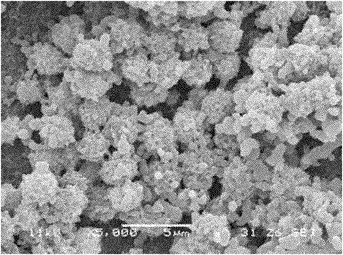 Method for preparing high-hydrophobic polyester