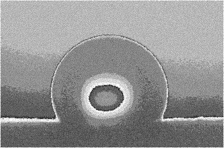 Method for preparing high-hydrophobic polyester