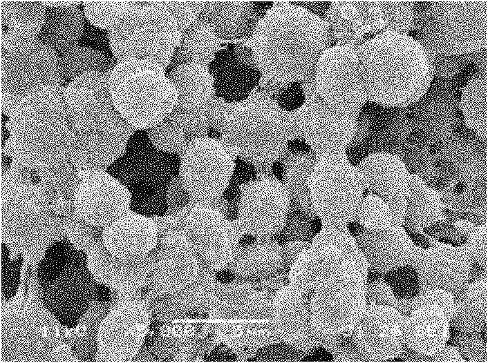 Method for preparing high-hydrophobic polyester