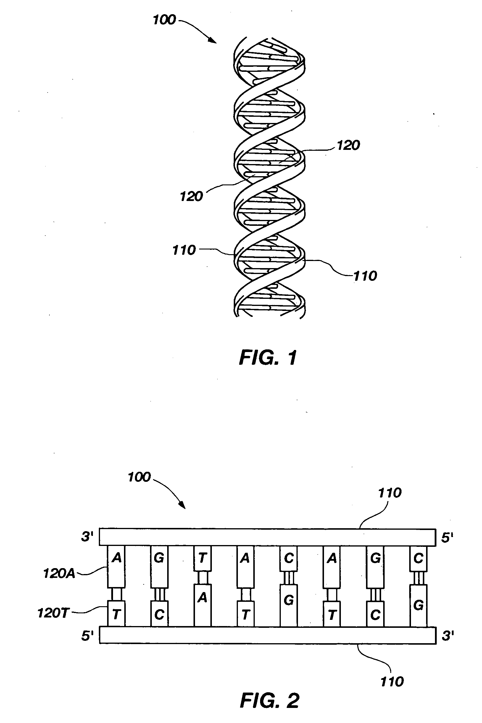Method and apparatus for detection of molecules using nanopores