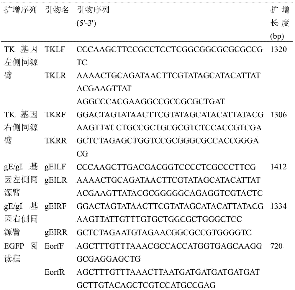 A recombinant porcine pseudorabies virus tk/ge/gi triple gene deletion strain