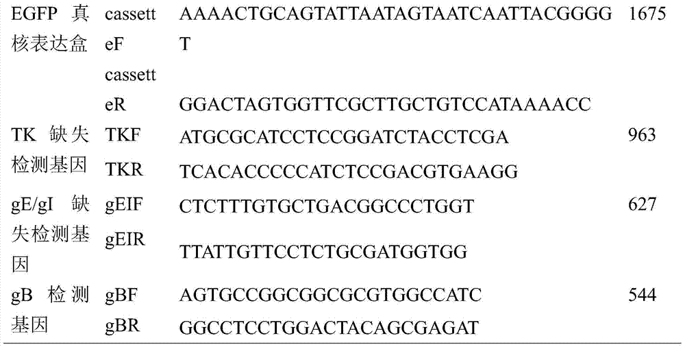 A recombinant porcine pseudorabies virus tk/ge/gi triple gene deletion strain