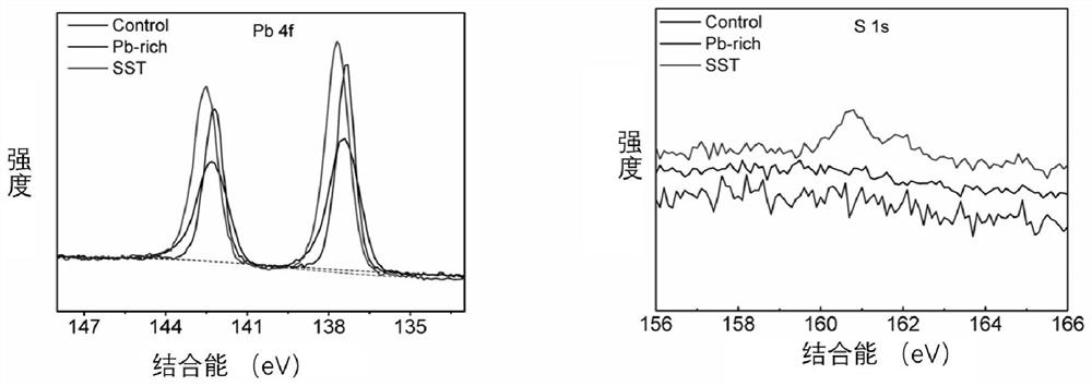 Perovskite solar cell and preparation method thereof