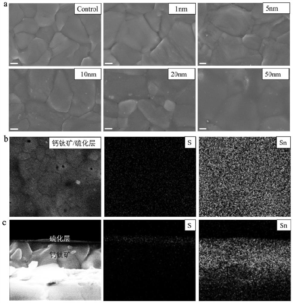 Perovskite solar cell and preparation method thereof