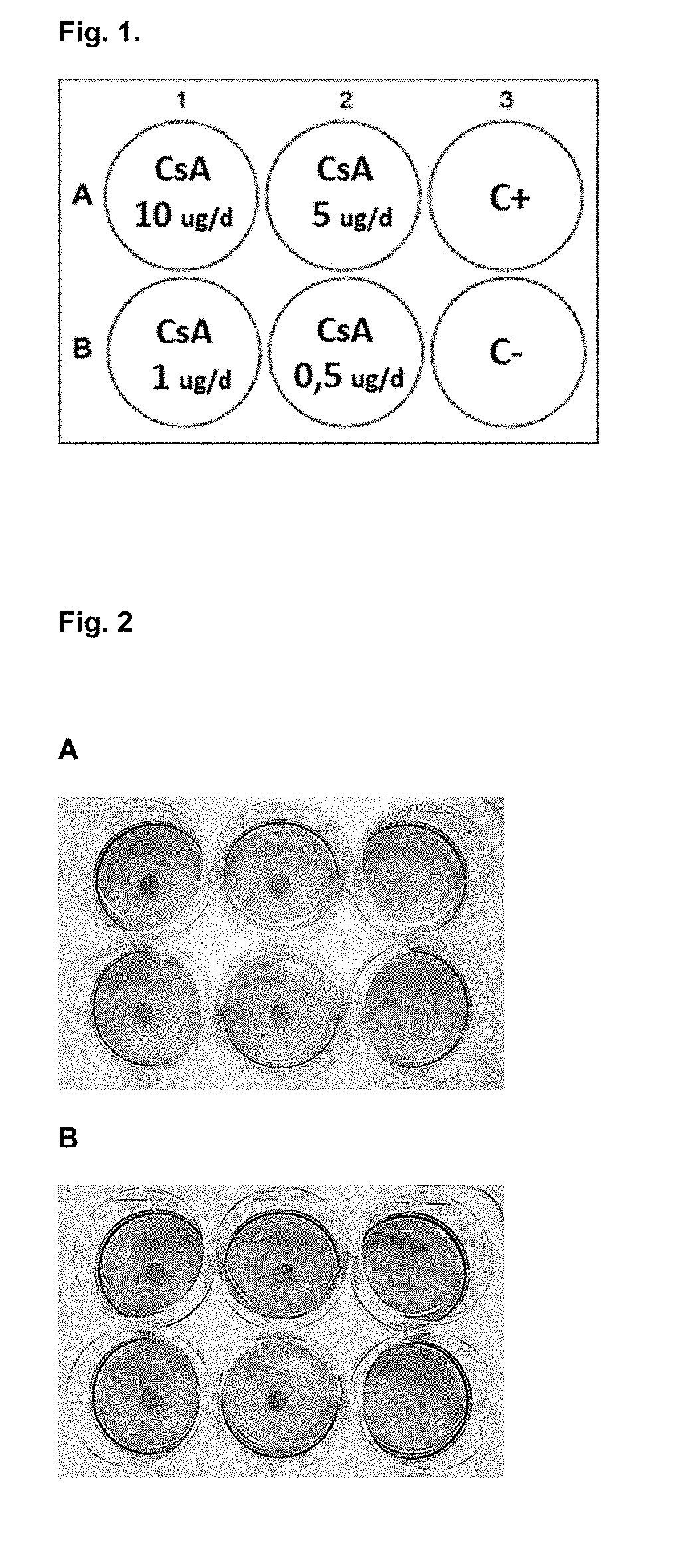 Method for predicting and monitoring clinical response to immunomodulatory therapy