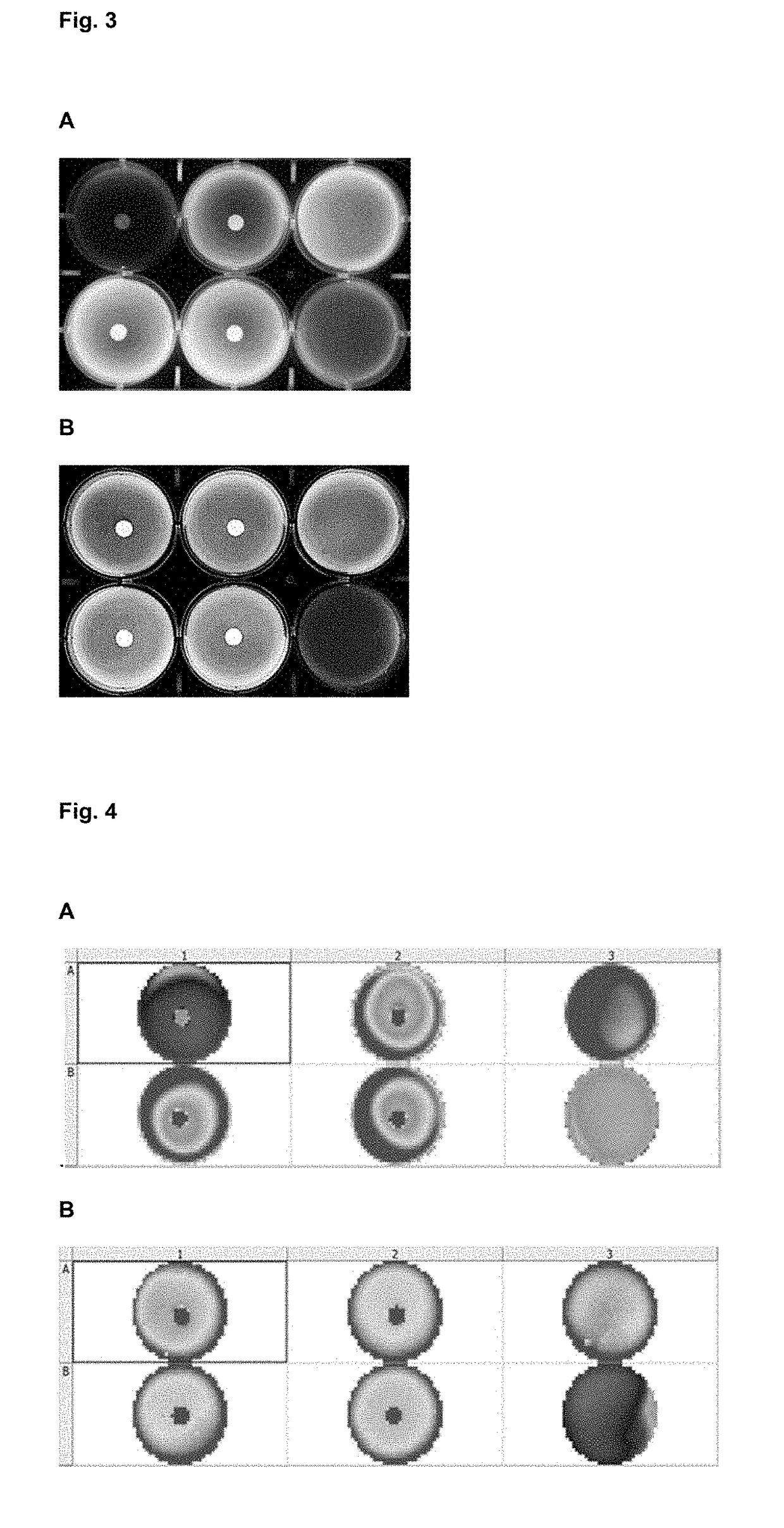 Method for predicting and monitoring clinical response to immunomodulatory therapy