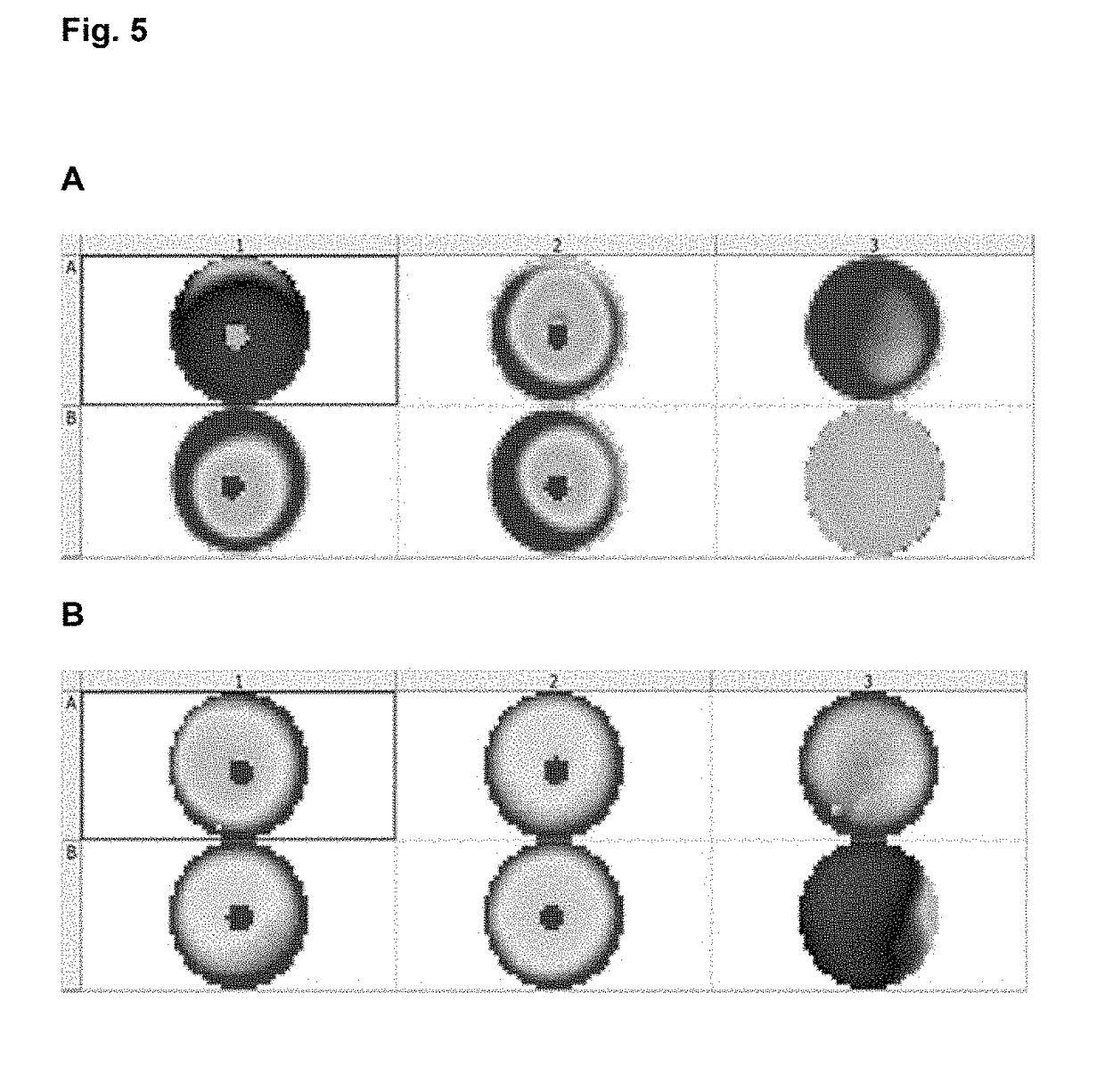 Method for predicting and monitoring clinical response to immunomodulatory therapy