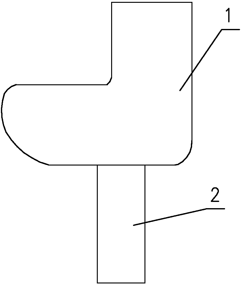 A nonlinear elastic bouncing shoe