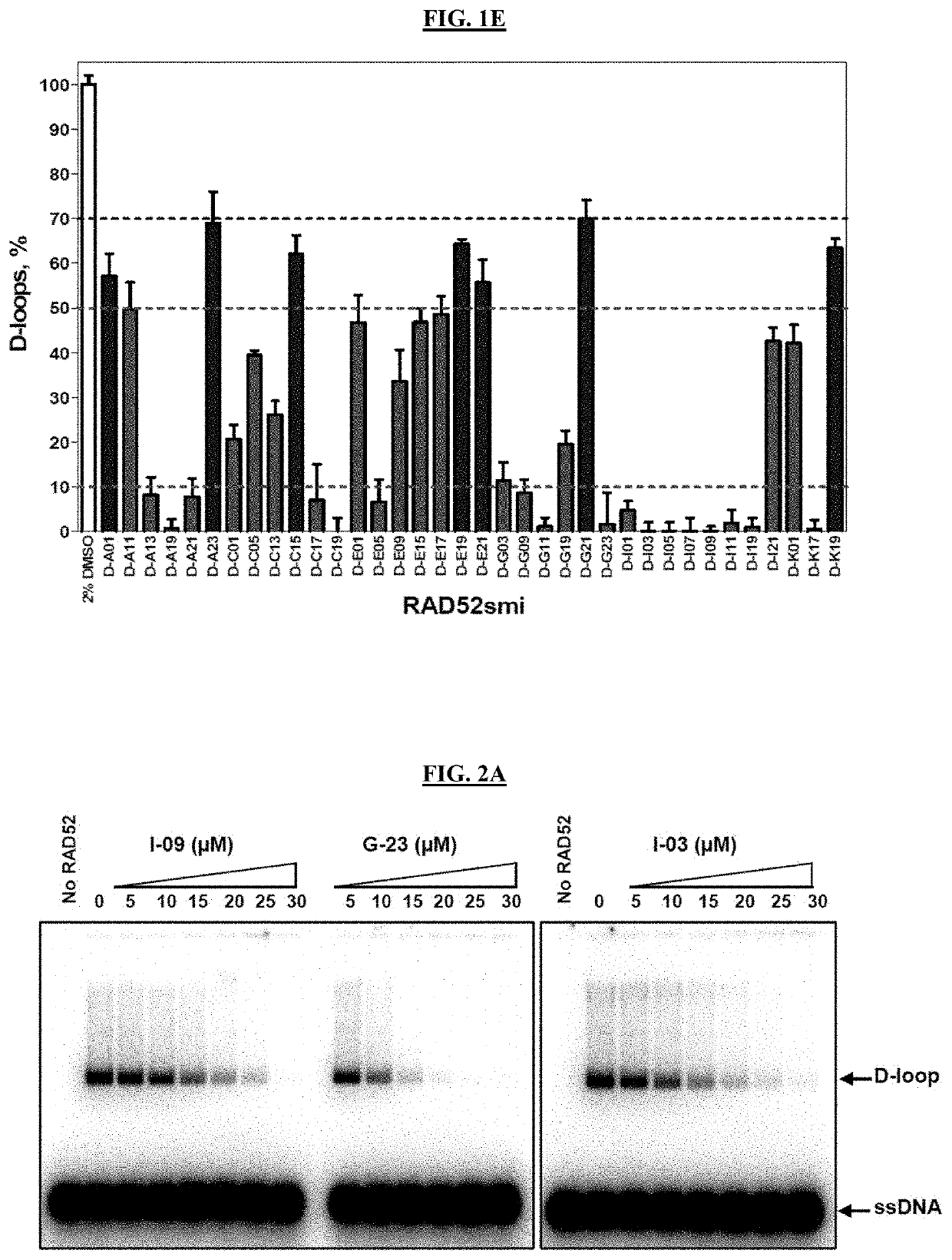 Inhibitors of RAD52 Recombination Protein and Methods Using Same