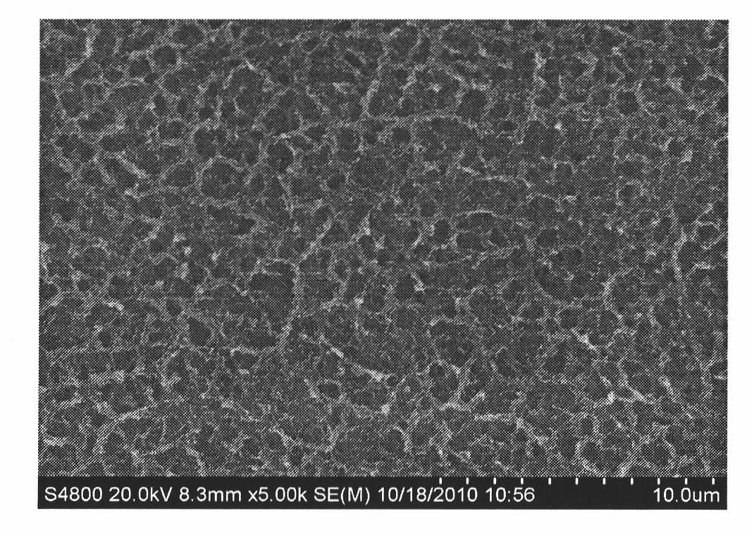 Surface mount method of mineralized collagen gradient coating for medical titanium implant