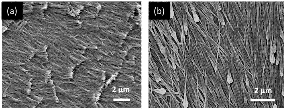 Method for preparing poly-p-xylylene nano fibers through chemical vapor deposition