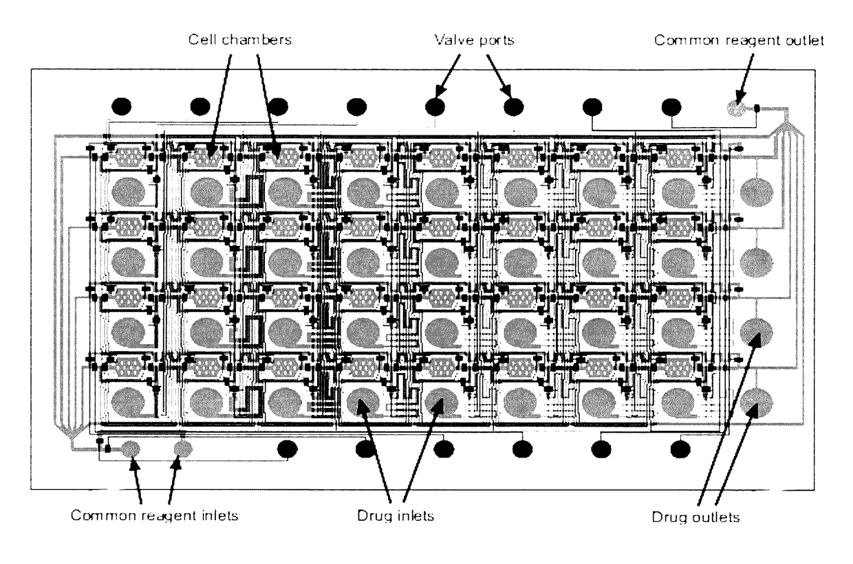 Microfluidic grid-based design for high throughput assays