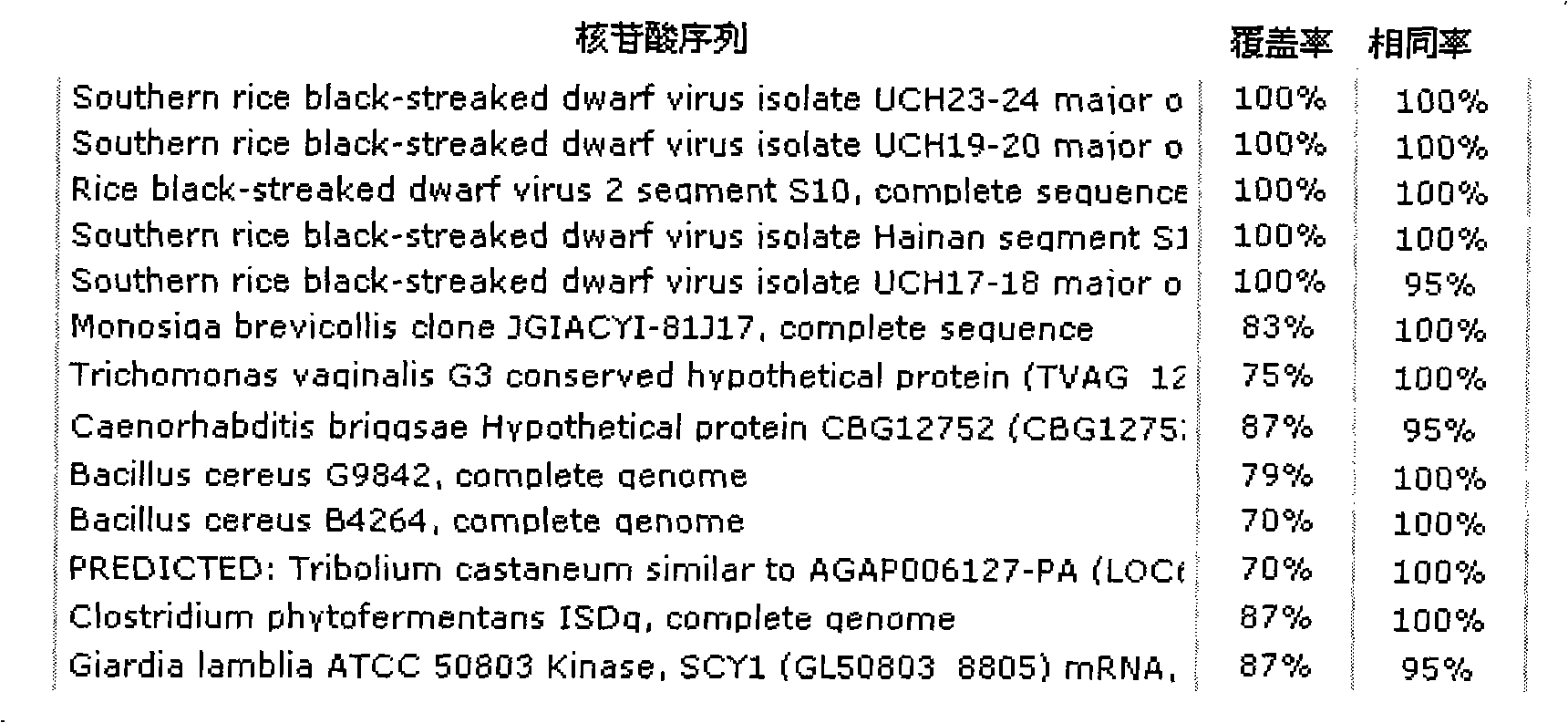 RT-PCR detection method of south rice black-streaked dwarf virus (SRBSDV)