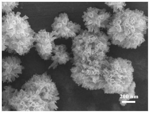 Method for preparing holmium oxide nano materials with different morphologies
