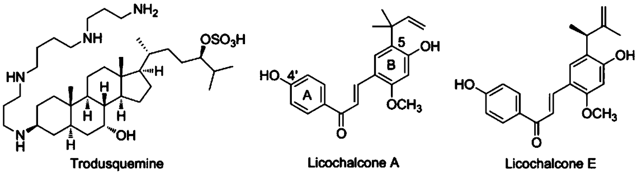 Chalcone derivatives containing allyl structures, and application of chalcone derivatives