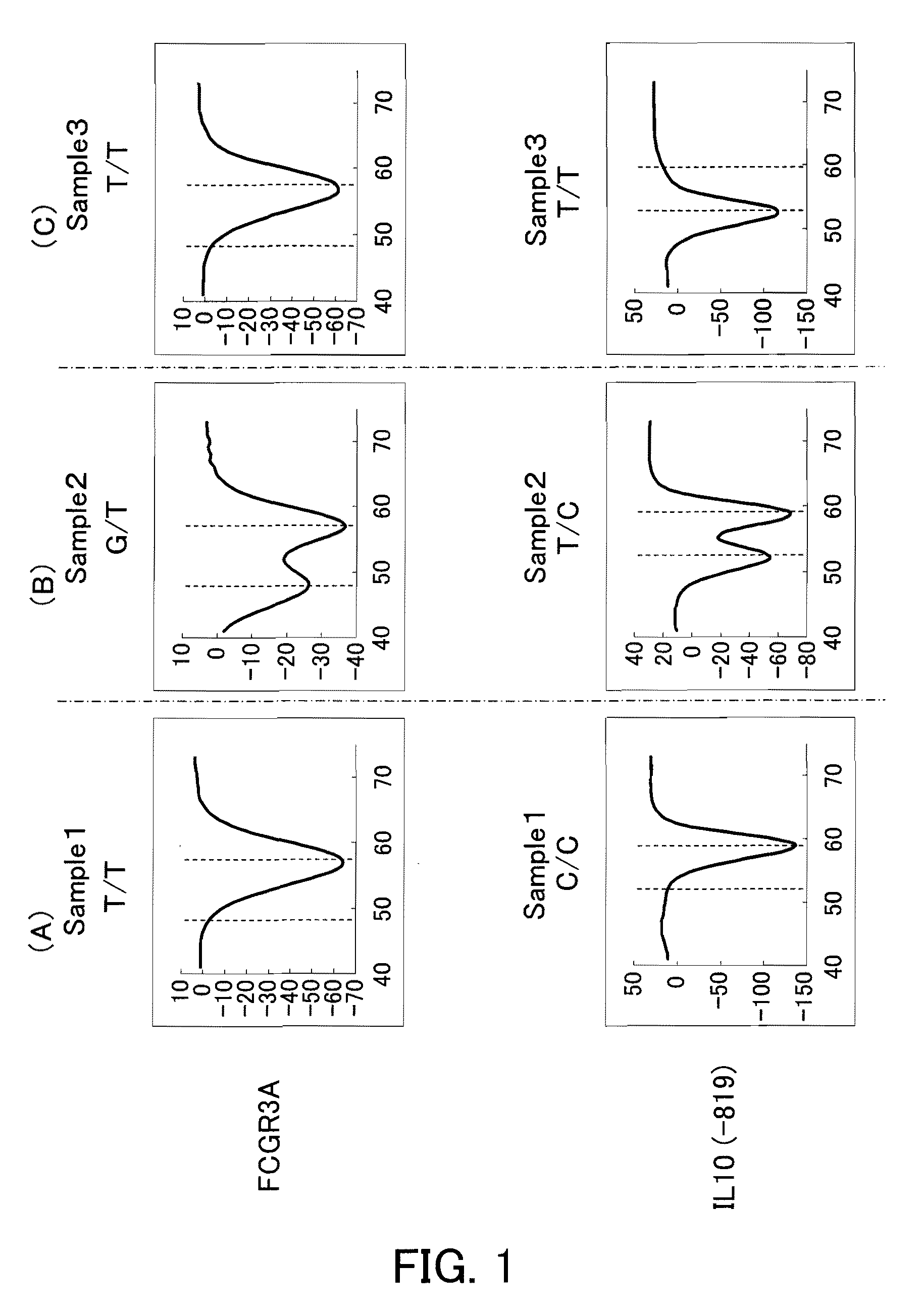 Probes for detecting immune-related gene polymorphisms and applications of the same