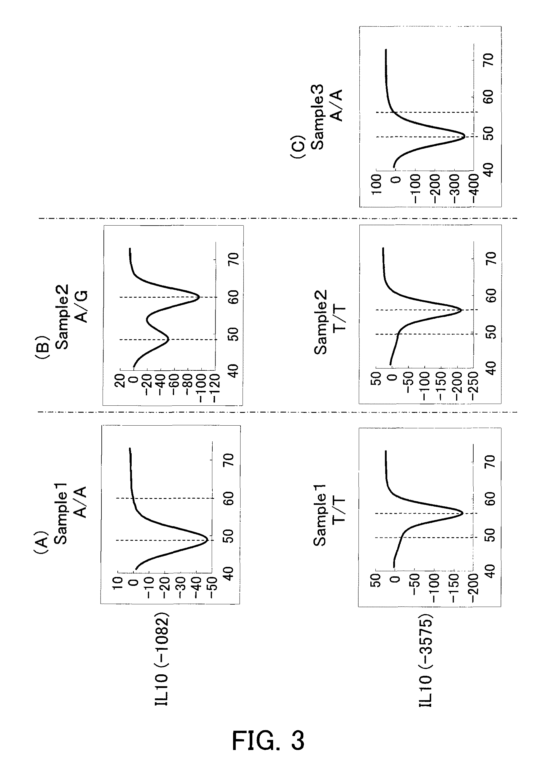 Probes for detecting immune-related gene polymorphisms and applications of the same