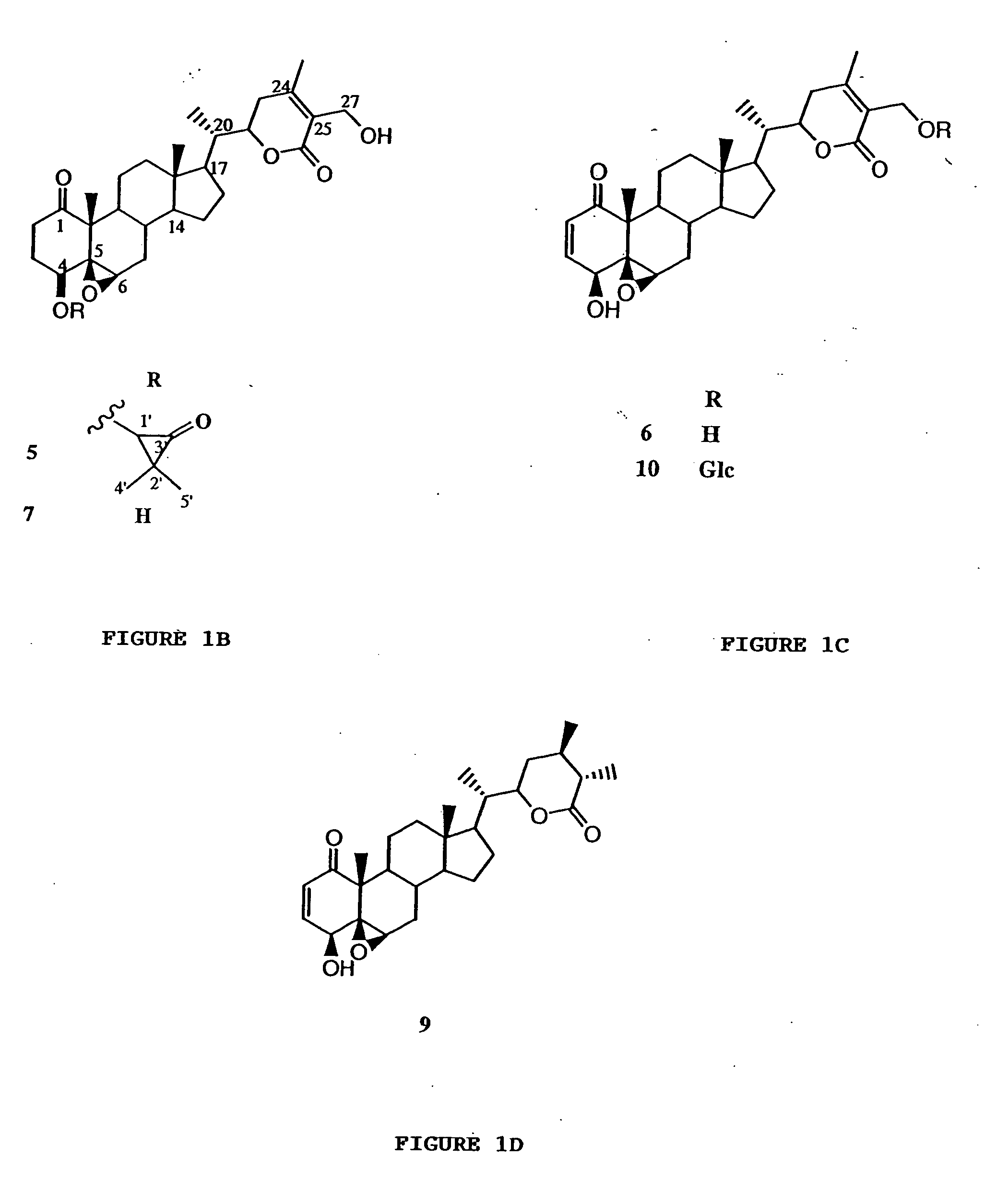 Cyclooxygenase-3 inhibitory withanolide compositions and method