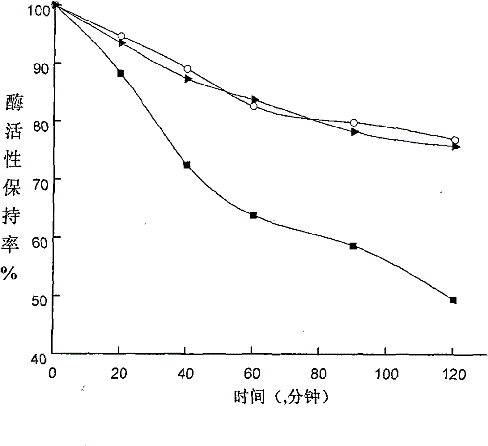 Unsaturated fatty acid-Cu/Zn-SOD modifier and preparation method thereof