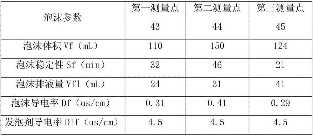 Foam property measuring device and method for oil extraction