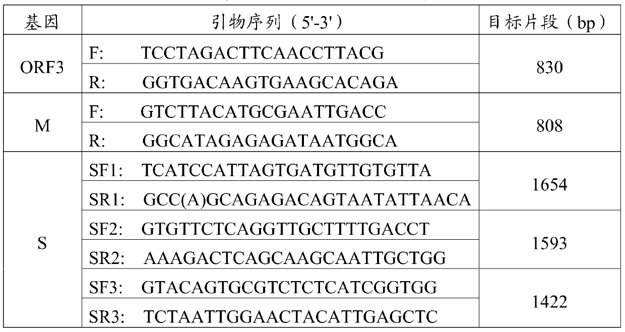 Porcine epidemic diarrhea virus strain and its vaccine composition, preparation method and application