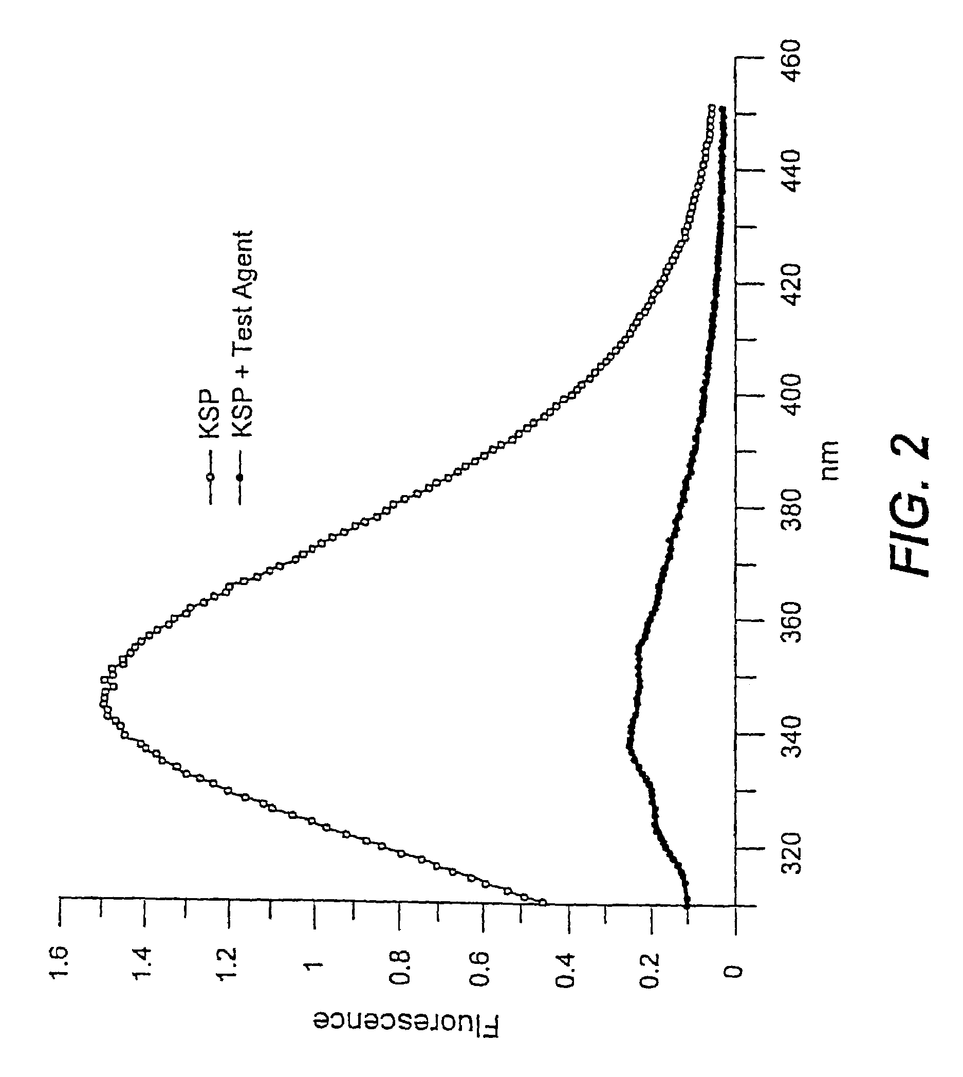 Methods for screening and therapeutic applications of kinesin modulators