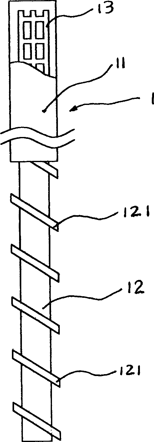 Half screw pile and processing method and apparatus therefor