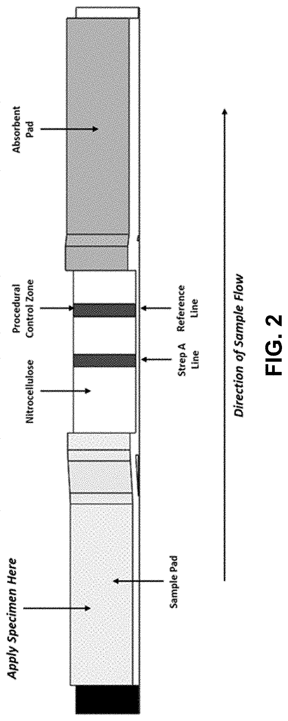 Extraction reagent for use in an assay for detection of group a streptococcus