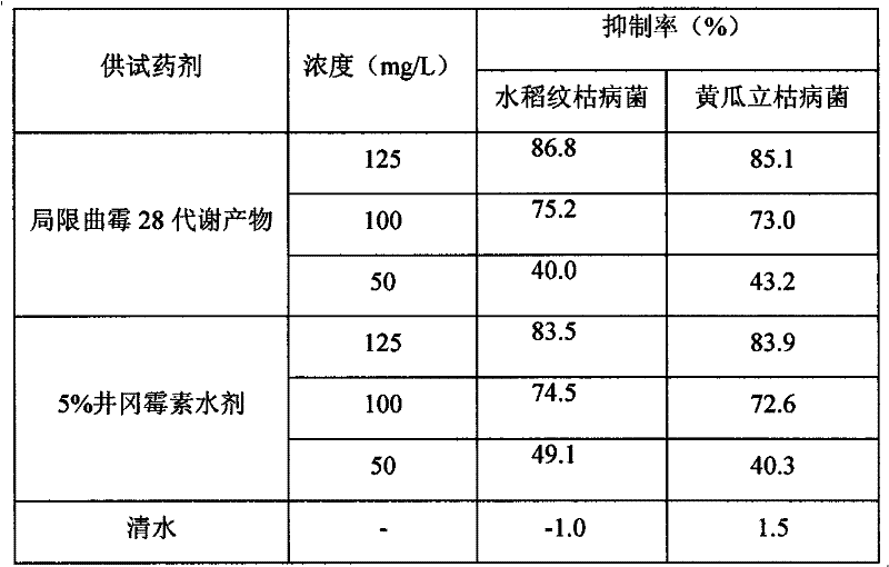 Application of Aspergillus restrictus 28 metabolic product in controlling rice thanatephorus cucumeris