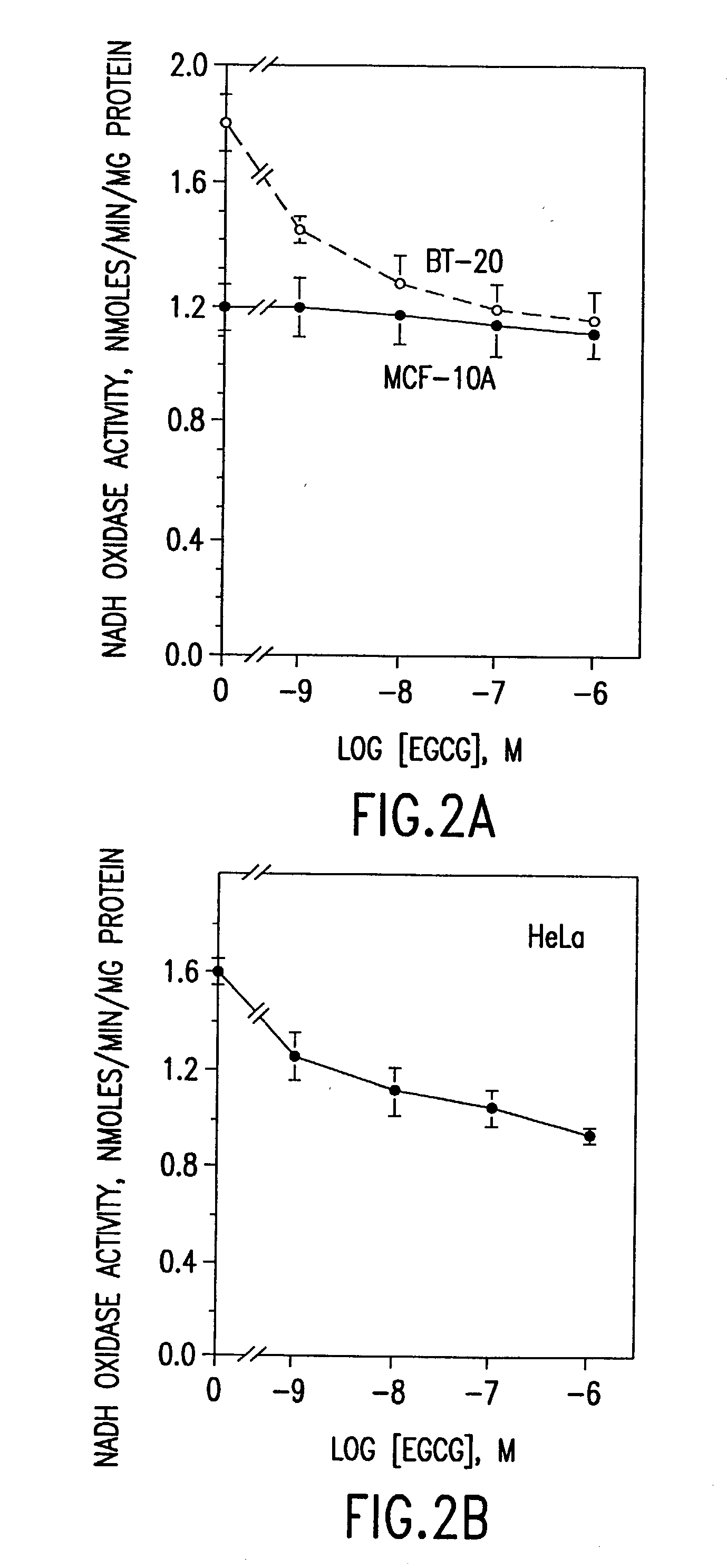 Tea catechins as cancer specific proliferation inhibitors