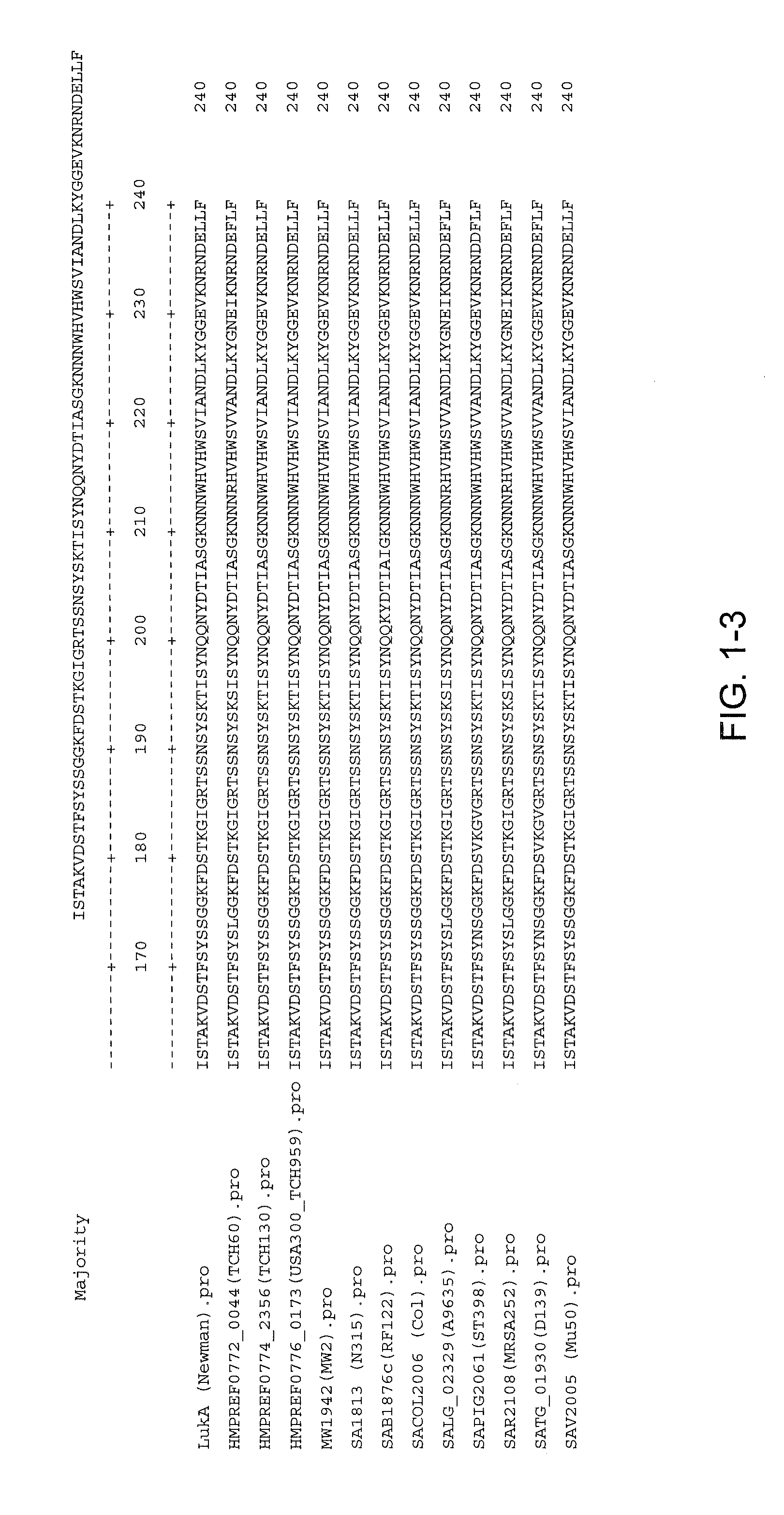 Staphylococcus aureus leukocidins, therapeutic compositions, and uses thereof