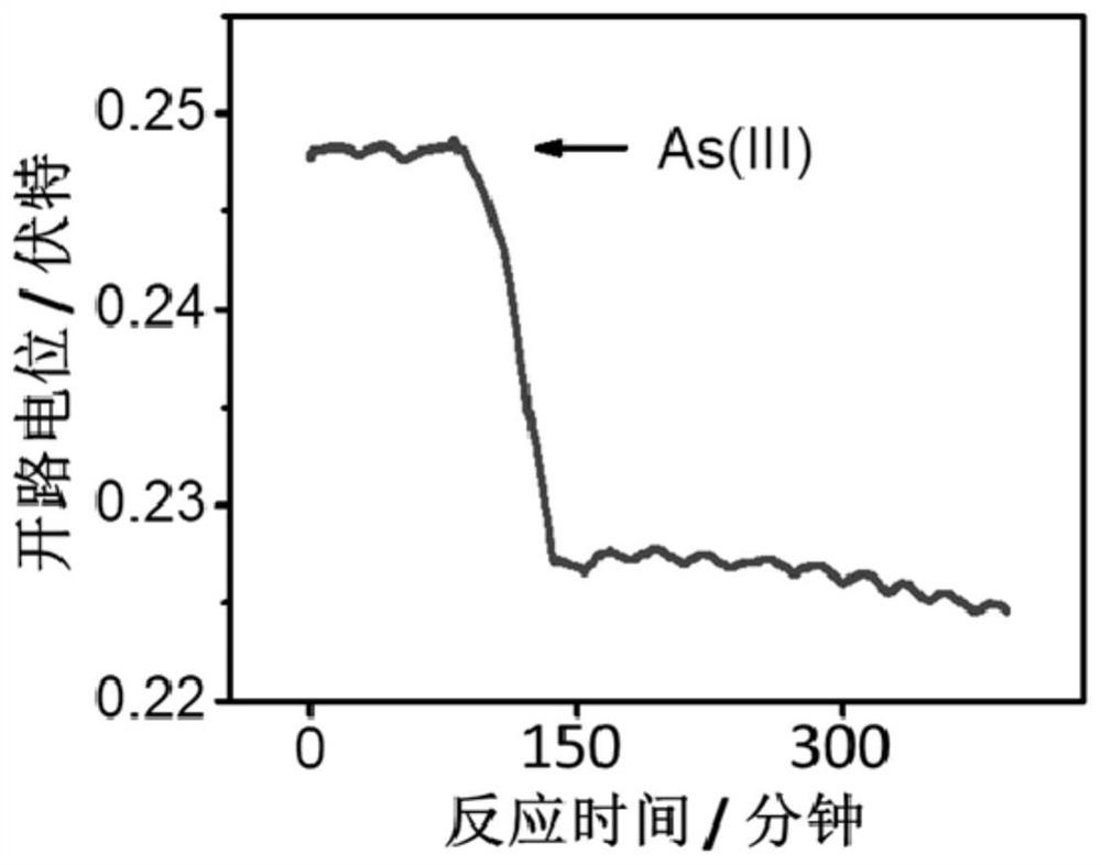 Pollutant interface reaction electrochemical infrared spectrum combined in-situ characterization method and pollutant interface reaction electrochemical infrared spectrum combined in-situ characterization device