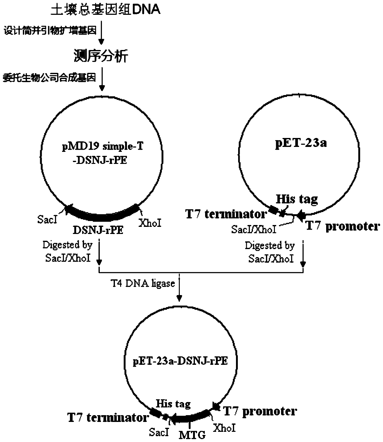 Efficient post-extraction method of curdlan