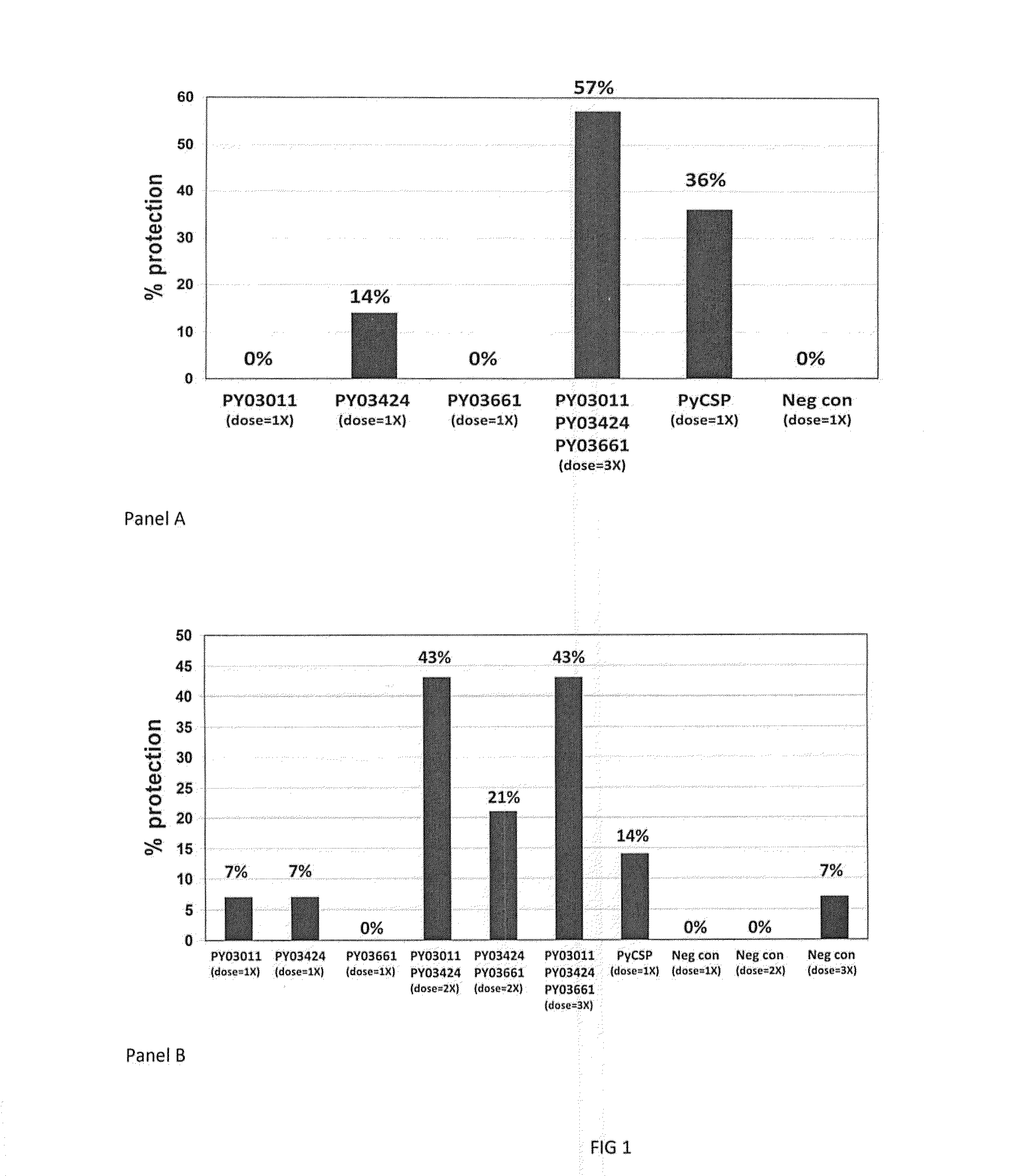 Plasmodium falciparum sporozoite and liver stage antigens