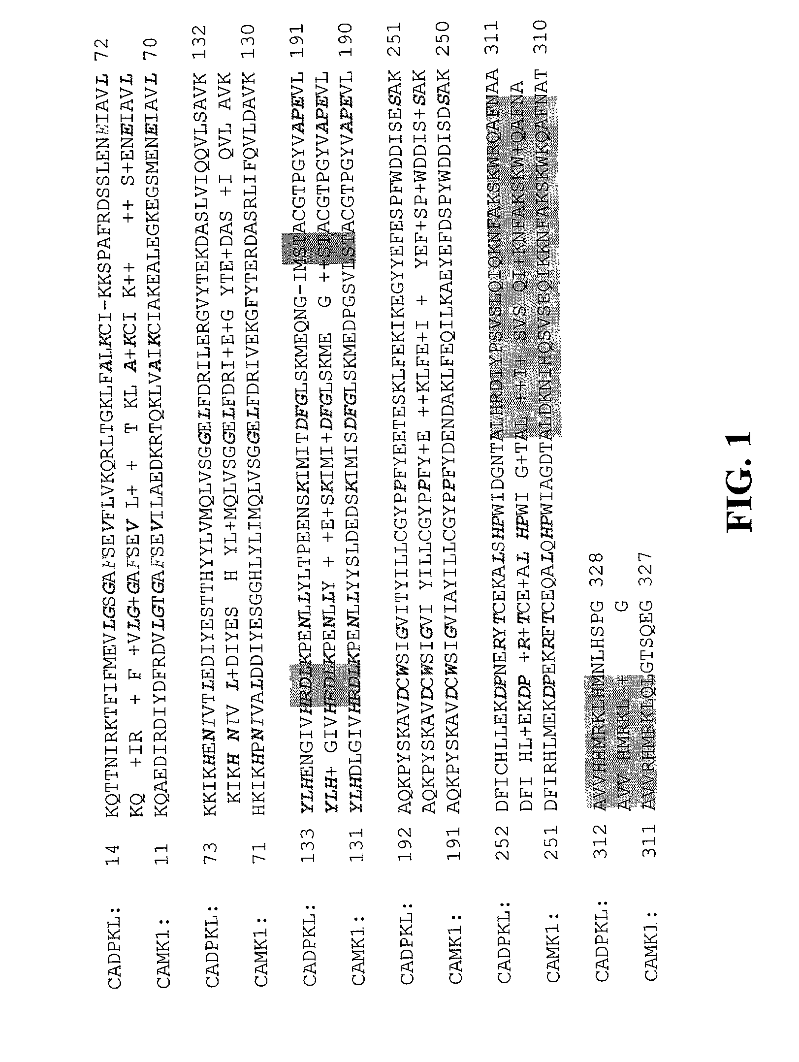 Methods and compositions for diagnosing and treating neuropsychiatric disorders such as schizophrenia