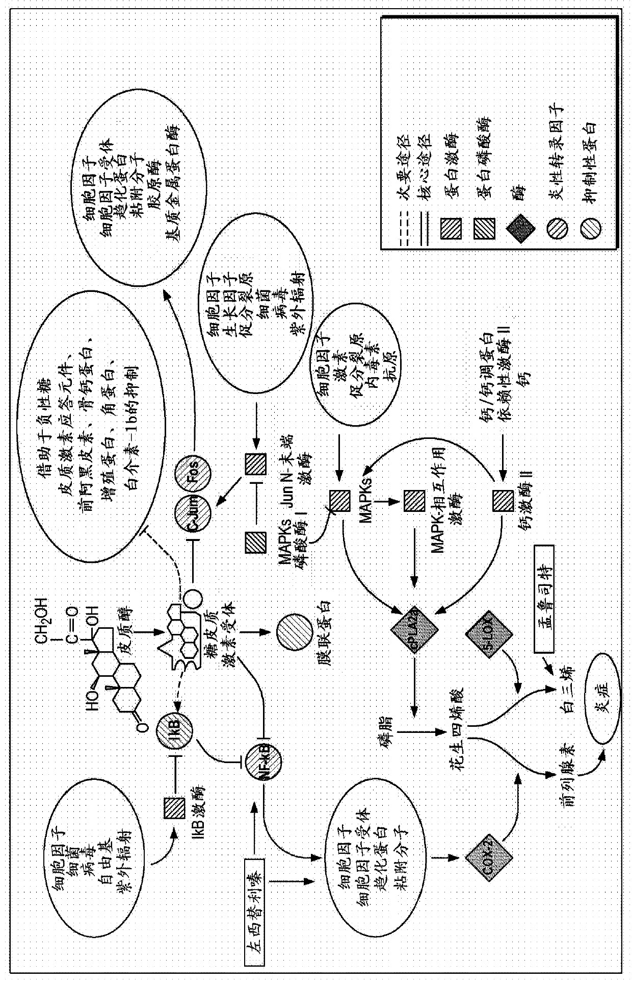 Use of levocetirizine and montelukast in the treatment of traumatic injury