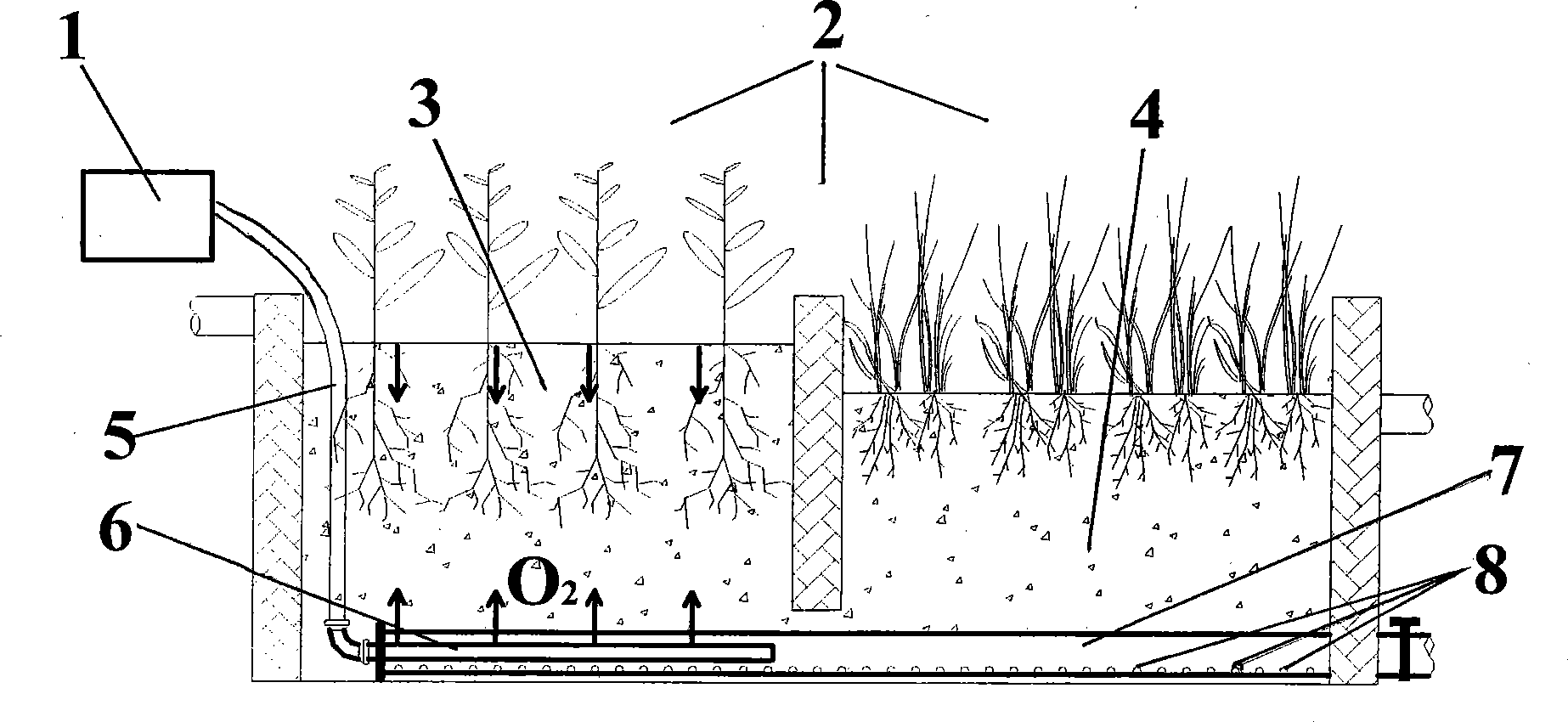 Composite vertical current artificial wetland oxygenation system