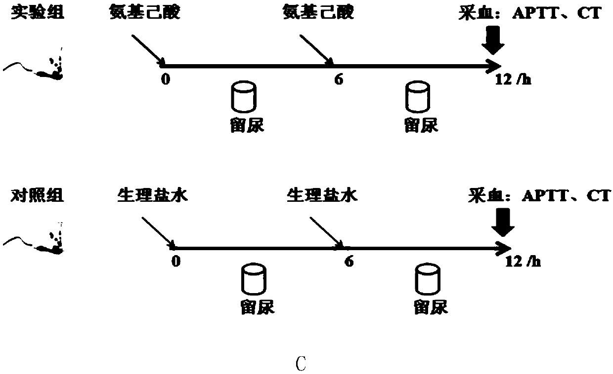 Biomarkers of Hypercoagulation State and Its Application