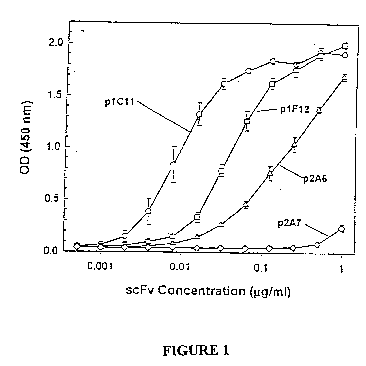 Antibodies specific to KDR and uses thereof
